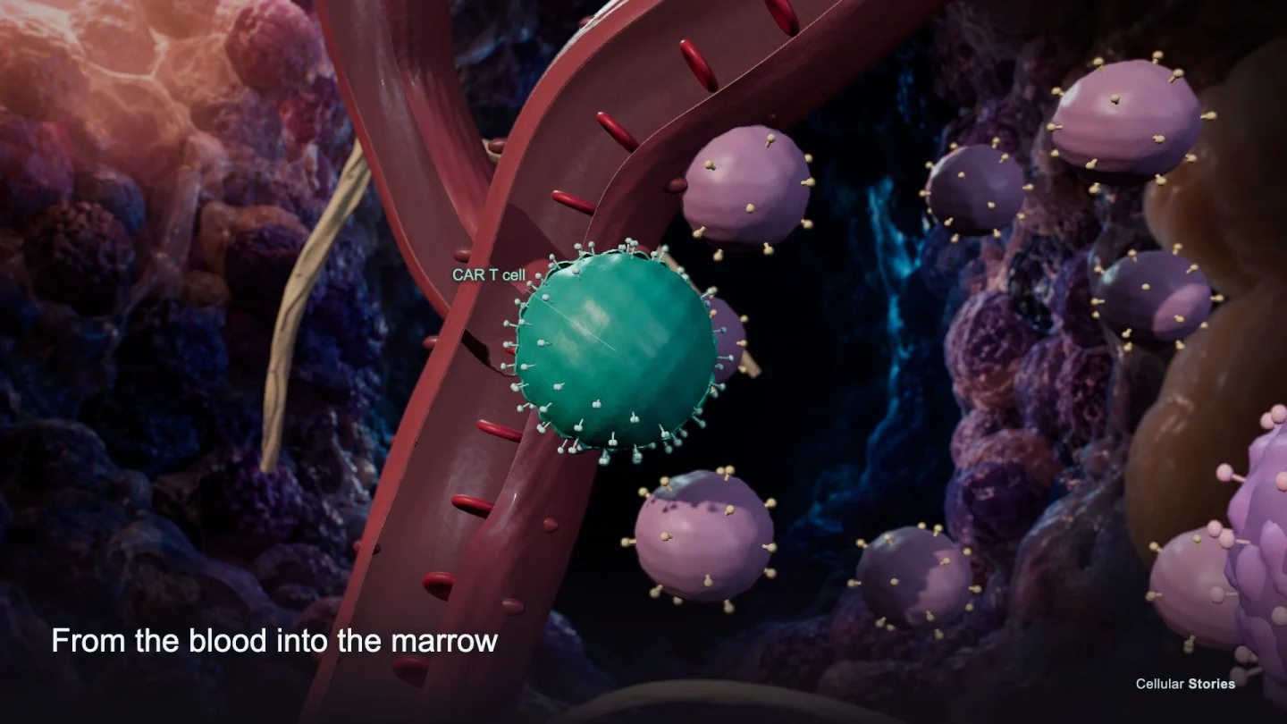 CAR-T film screenshot showing a CAR T cell and a labeled CD19-positive target in the bone marrow