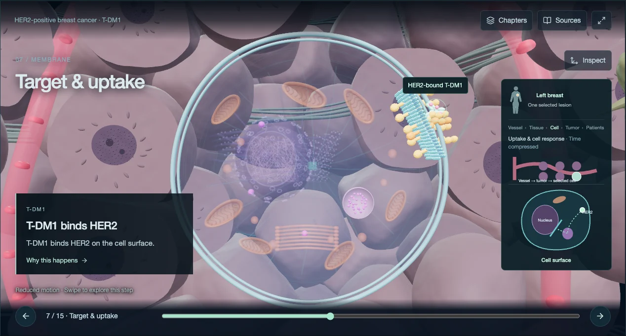 Current T-DM1 interactive website screenshot with Chapters, Sources, Inspect and progress controls