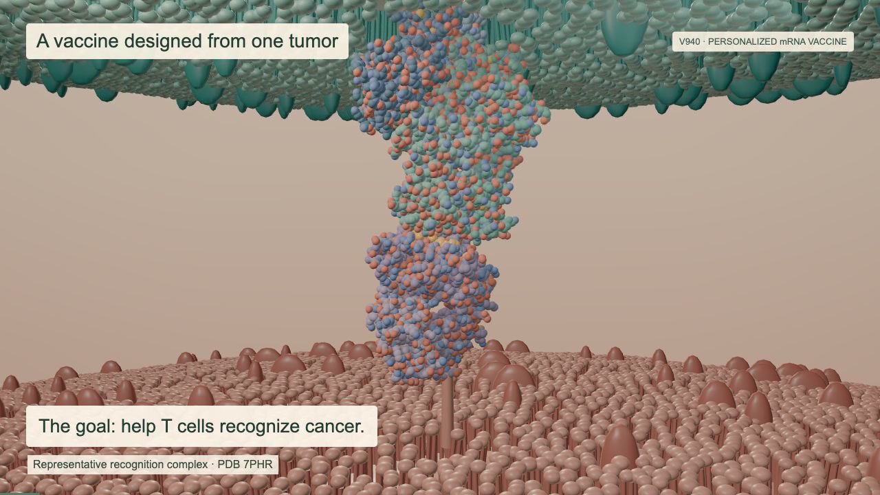 Intismeran autogene (V940) demonstration preview